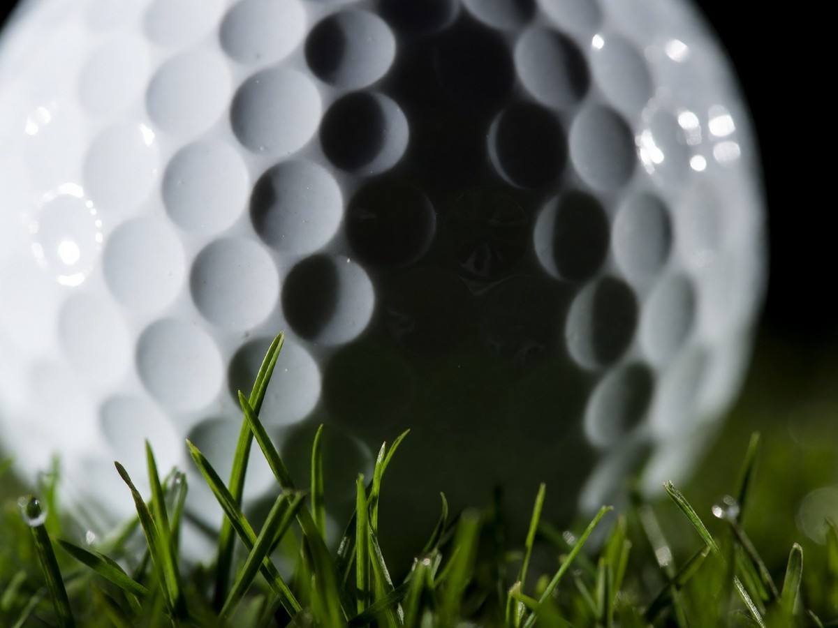 The Scottie Scheffler and Rory McIlroy World Ranking Showdown