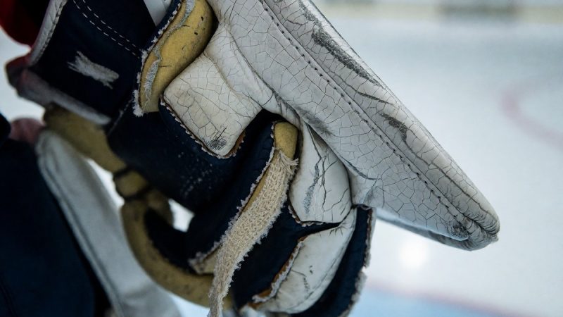 NHL goaltender workload and the 2026 Central Division grind