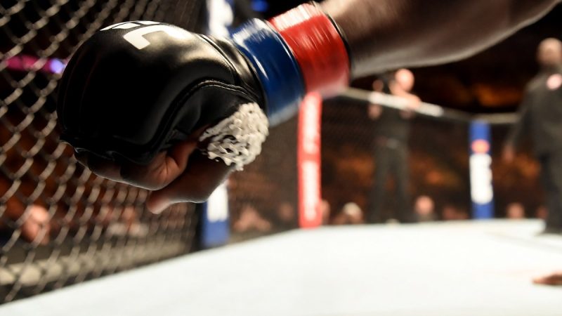 The economic landscape of UFC media and heavyweight unification
