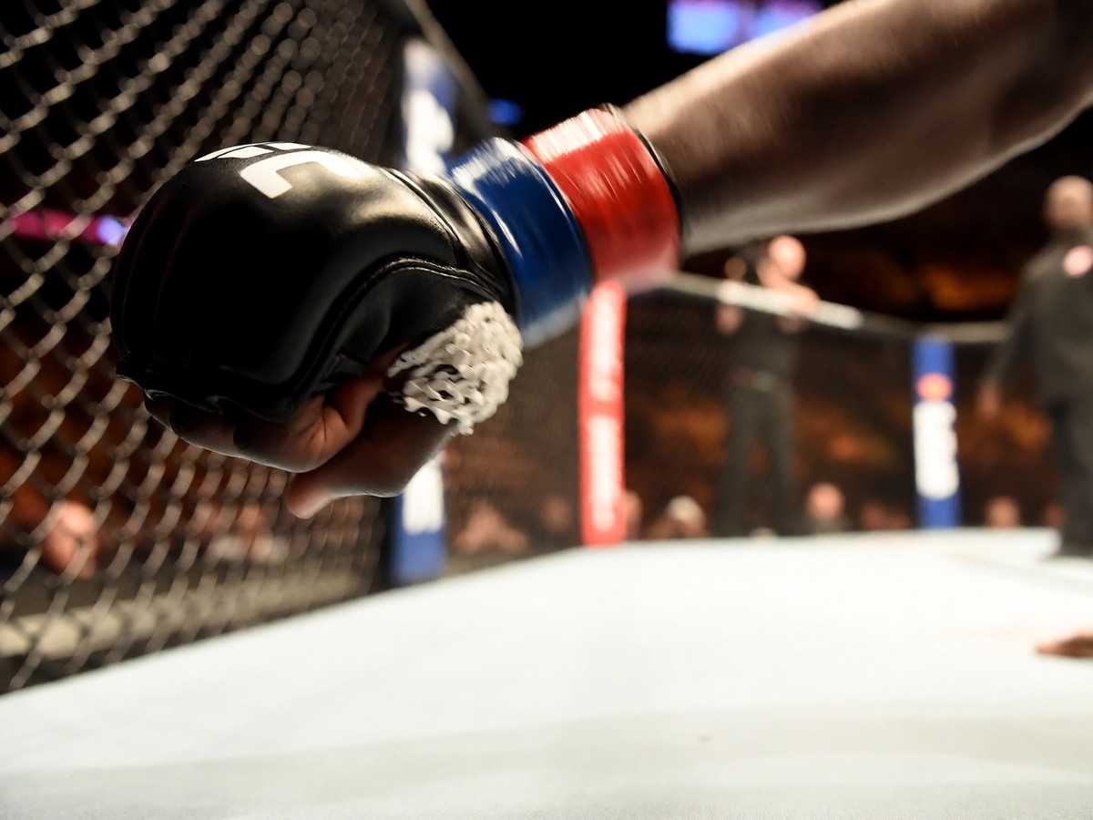 The economic landscape of UFC media and heavyweight unification