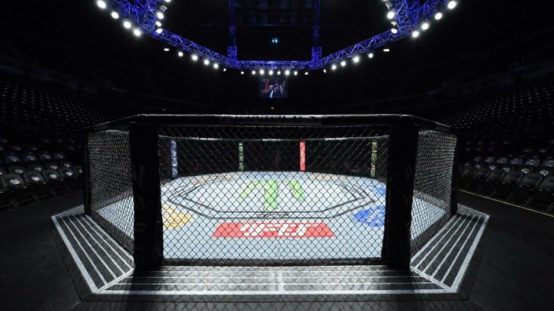 Max Holloway's return to featherweight and the pursuit of gold