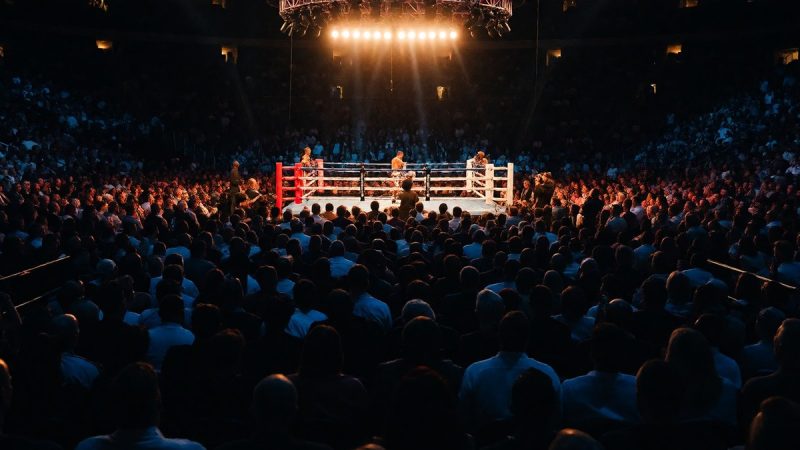 Davis knockout density and Garcia punching metrics