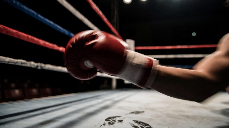Gervonta Davis and Shakur Stevenson lightweight negotiations