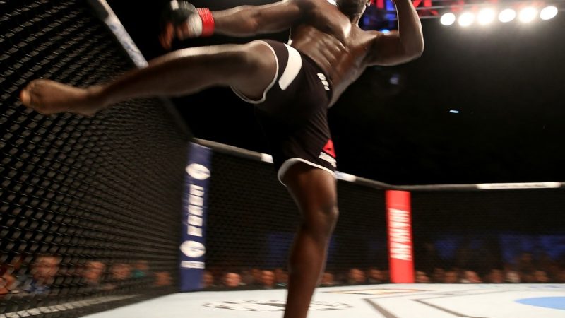 Alex Pereira's path toward heavyweight gold and title status