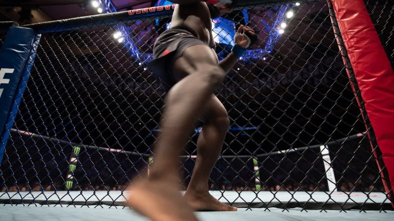 The heavyweights and lightweights in New York