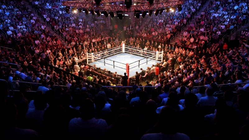 Canelo Alvarez PPV figures and Edgar Berlanga revenue