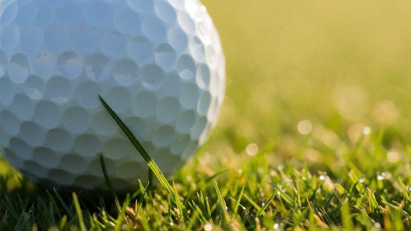 Viktor Hovland's surge in Official World Golf Rankings