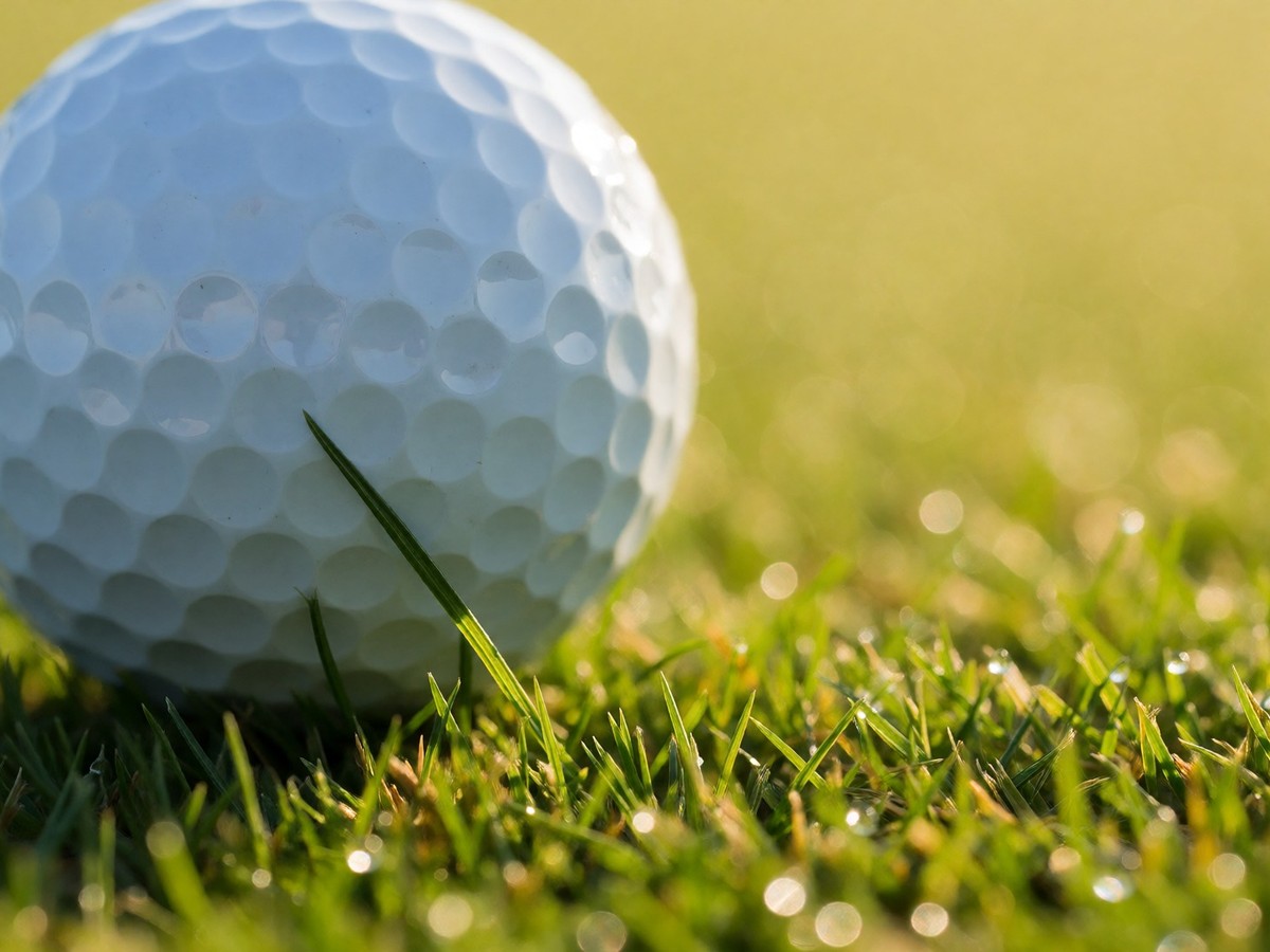Viktor Hovland's surge in Official World Golf Rankings