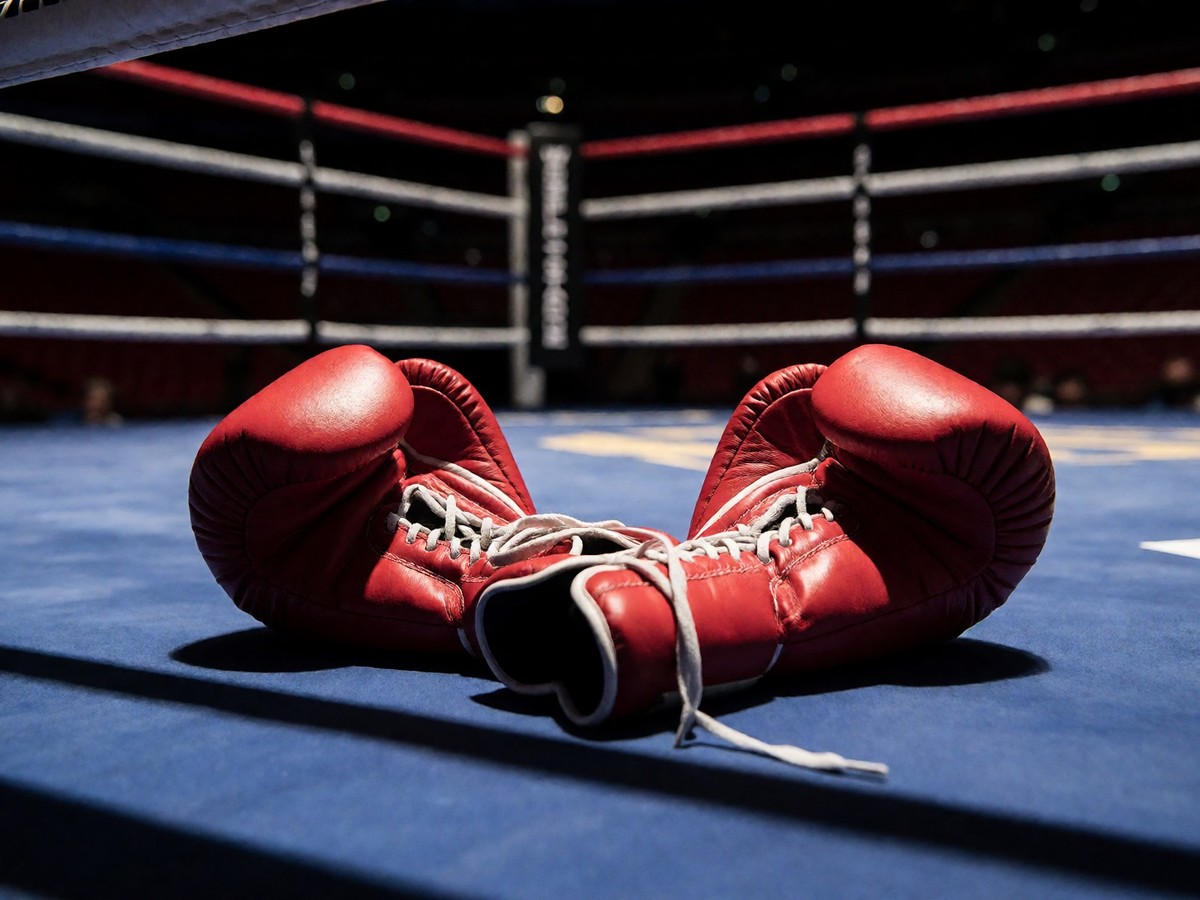 The numbers behind the Usyk and Dubois rematch