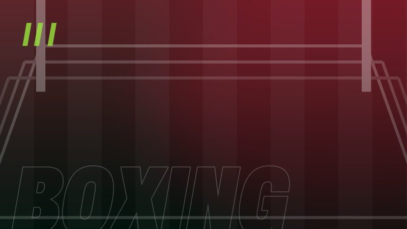 Sanctioning bodies under pressure to simplify the title picture
